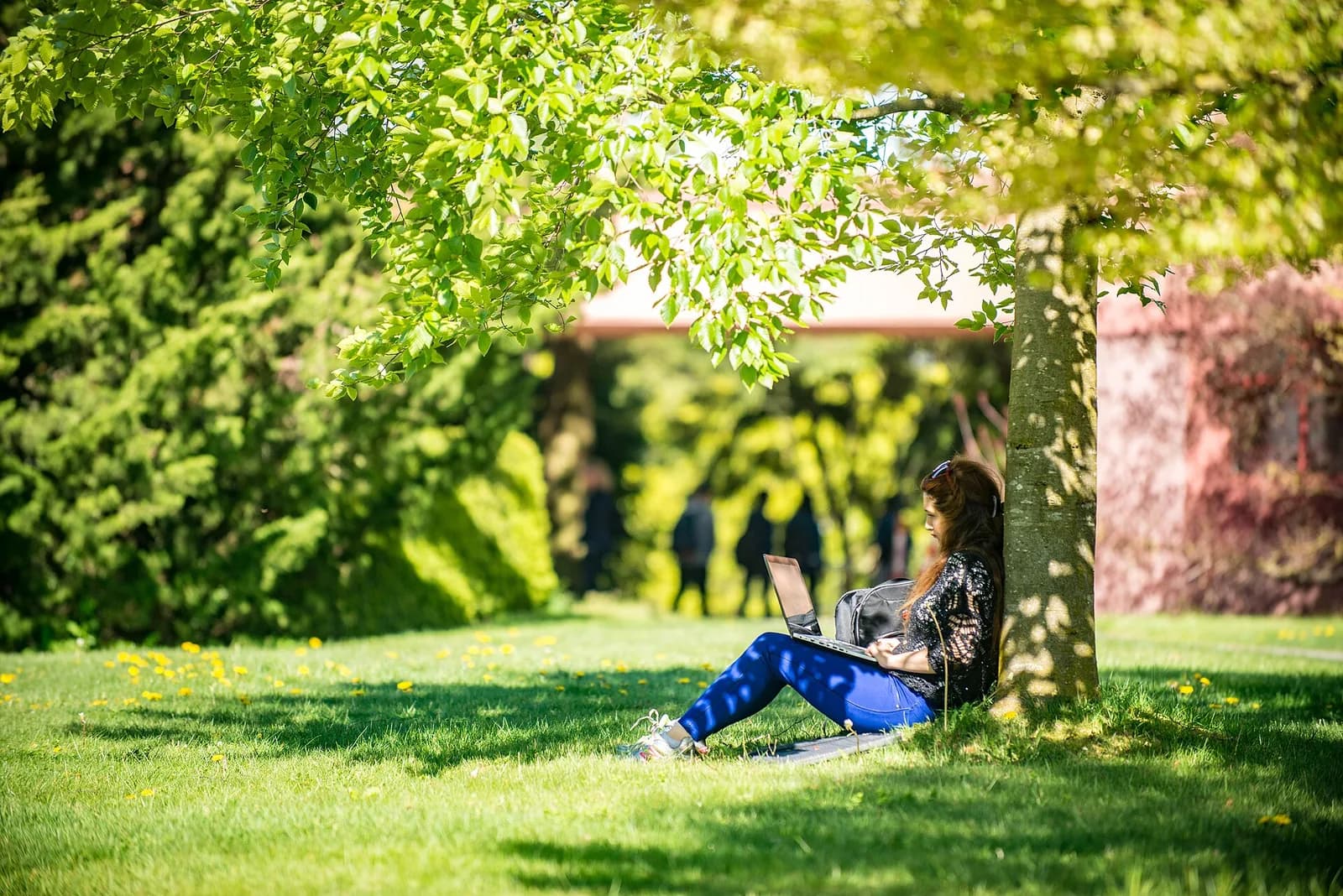 Humanizador de IA para Estudantes: Textos com Som Natural e Autêntico